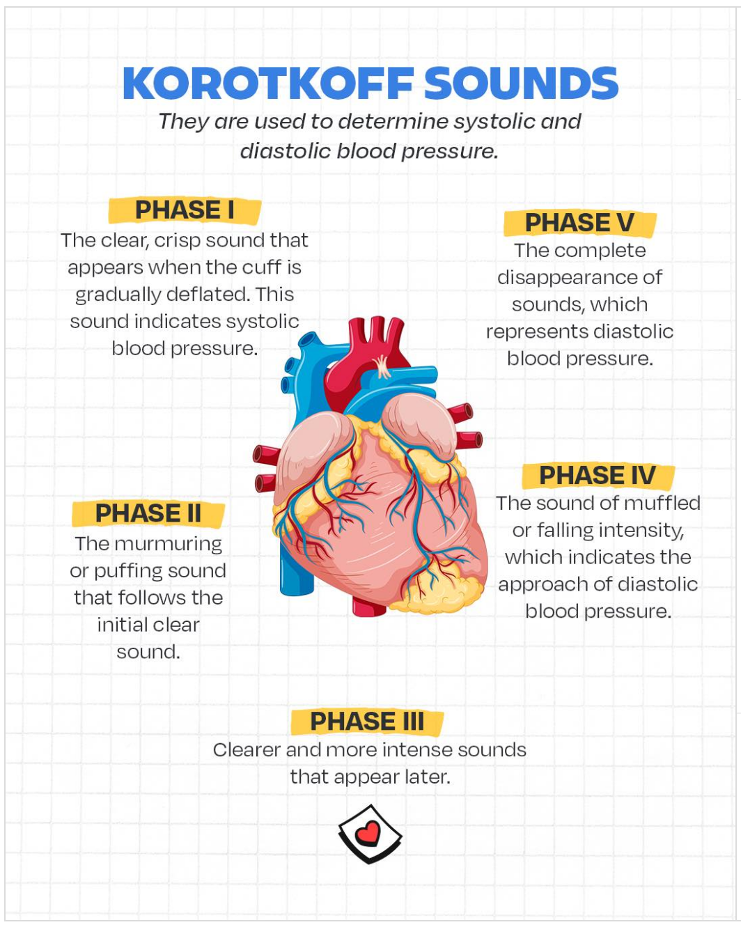 Phases of Blood Pressure Sounds